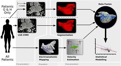 Left Atrial Enhancement Correlates With Myocardial Conduction Velocity in Patients With Persistent Atrial Fibrillation